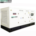 Professioneller stiller Diesel High Power 350 kW 438KVA Super Silent Diesel Generator